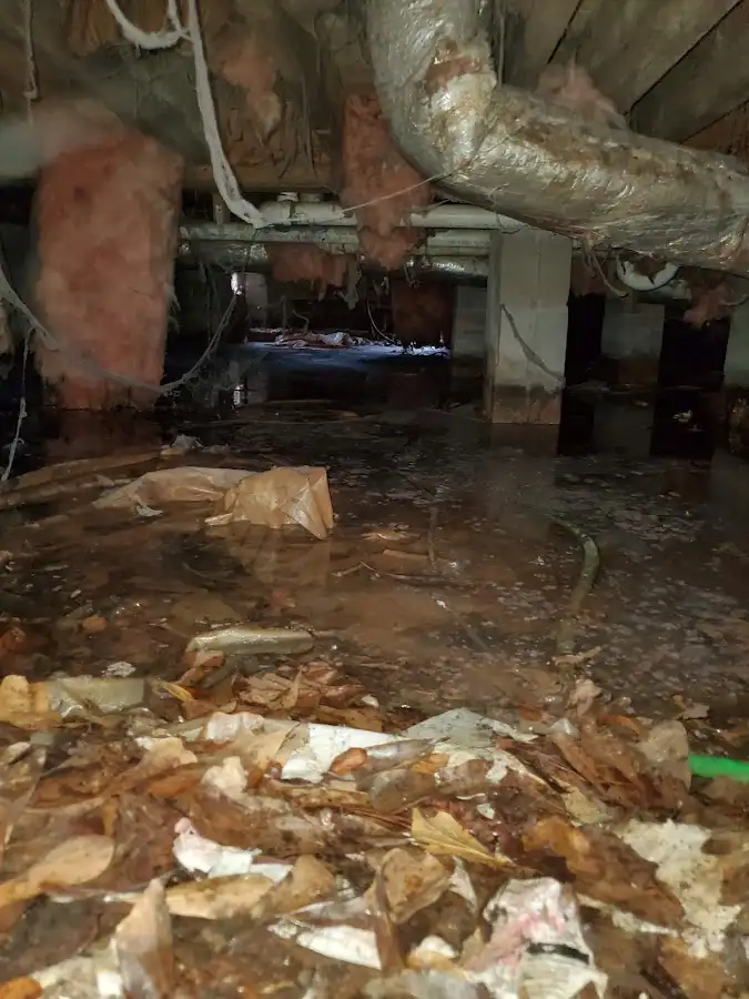 Crawl space flood assessment for Commercial Water Damage Restoration in Hillcrest Heights