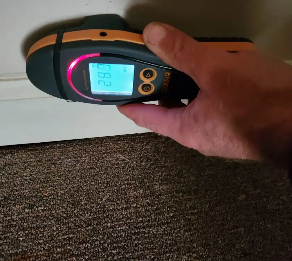 Moisture detection at baseboard during Sewage Cleanup & Sanitation in Hillcrest Heights